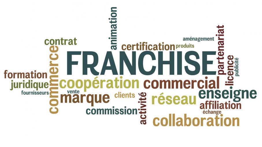 Franchise distribution competition law Franchise distribution concurrence